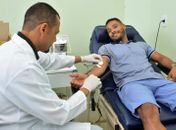 Unidades do Hemoal funcionam no feriado da Emancipação Política de Alagoas; veja o horário!