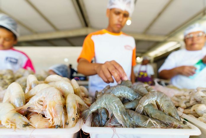 Fapeal e Ministério da Pesca lançam edital para o ensino médio