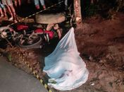 Motociclista morre após perder controle da direção e colidir contra árvore na AL-110