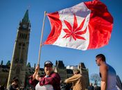 Canadá se torna o primeiro país do G20 a legalizar o uso de maconha para fins recreativos