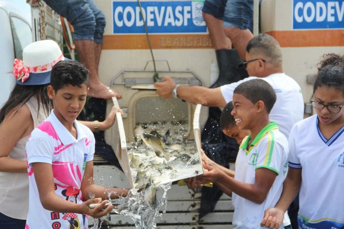 Prefeitura de Arapiraca e Codevasf promovem peixamento do Lago do Perucaba