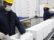 Alagoas receberá 60.500 doses da vacina Astrazeneca nesta quarta, anuncia MS