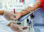 Unidades do Hemoal funcionam no Feriado Nacional da Padroeira do Brasil; veja horários