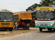 Ônibus escolares