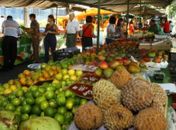 Feira Livre de Arapiraca será na terça-feira (13)