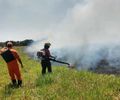 Incêndio atinge residências em São Miguel dos Milagres e mobiliza Bombeiros