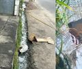 Corpo encontrado em saco plástico no Jacintinho é de menina de 15 anos, natural de Maceió