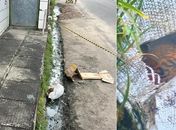 Corpo encontrado em saco plástico no Jacintinho é de menina de 15 anos, natural de Maceió