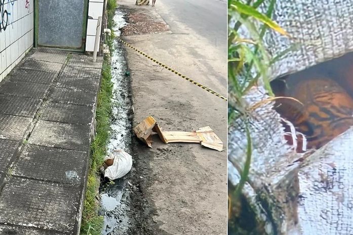 Corpo encontrado em saco plástico no Jacintinho é de menina de 15 anos, natural de Maceió