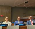 Comitiva da Apae Brasil Participa da COSP18 em Nova York para Promover Inclusão Global