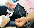 Hemoal faz coleta externa de sangue em São Miguel dos Campos nesta terça-feira