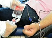 Hemoal faz coleta externa de sangue em São Miguel dos Campos nesta terça-feira