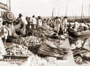 O cinema de Alagoas - Um pouco de história