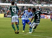 CSA faz jogo duro e empata com o Palmeiras no Rei Pelé