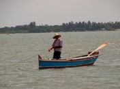  Velho Chico 