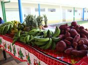 Alimentos da agricultura familiar