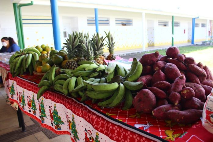 Alimentos da agricultura familiar