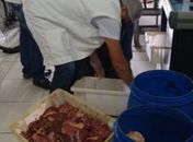 Vigilância Sanitária apreende 300kg de carne estragada que seria ofertada a consumidores