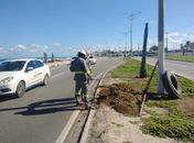 Criminosos furtaram fios de cobre