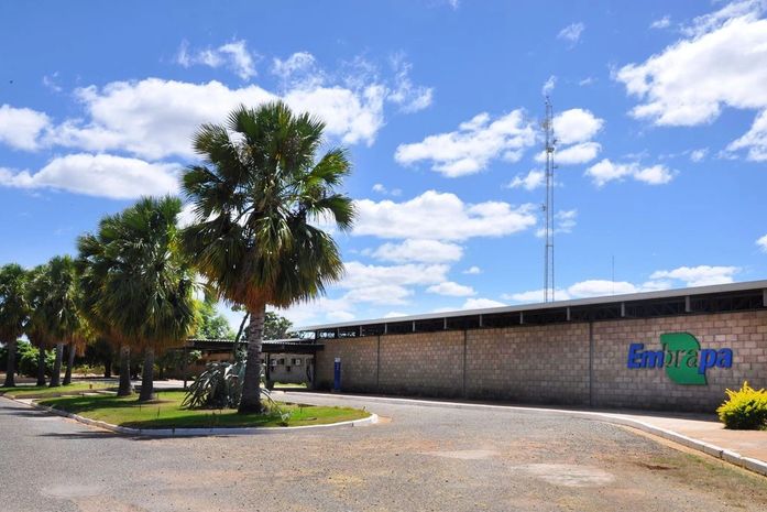 Justiça determina que MST desocupe fazenda da Embrapa em Pernambuco