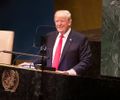 O habilidoso Trump joga e se diverte, enquanto o vaidoso Lula nem percebe
