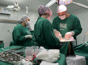 Alagoas registra aumento de 100% nas autorizações para doações de órgãos para transplantes