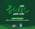 Setembro Verde: CBF e Fundação Pró-Rim faz campanha sobre doação de órgãos na 27ª rodada do Brasileirão