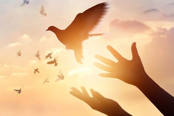 SEGURANÇA PÚBLICA E SOCIEDADE SAUDÁVEL