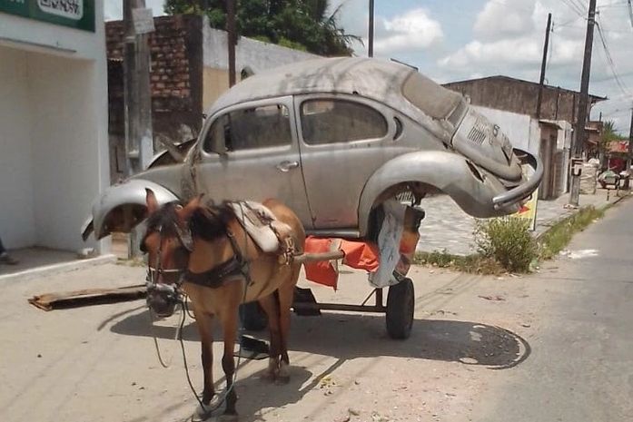 Maus-tratos: carroceiro é preso por fazer égua carregar carcaça de automóvel de 300 kg 