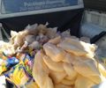 Cerca de 300 kg de queijos, manteiga, iogurtes e outros produtos vencidos são apreendidos pela VISA em Maceió