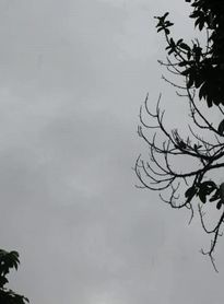 Previsão do tempo em AL é de chuva