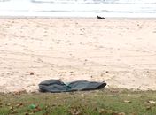 Corpo de homem é encontrado por populares na Praia da Avenida, em Maceió

