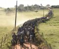 1ª Cavalgada da Independência reúne centenas de participantes e movimenta Belém