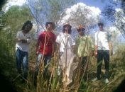 Com fins solidários, evento leva shows de Reggae para o Mercado do Artesanato