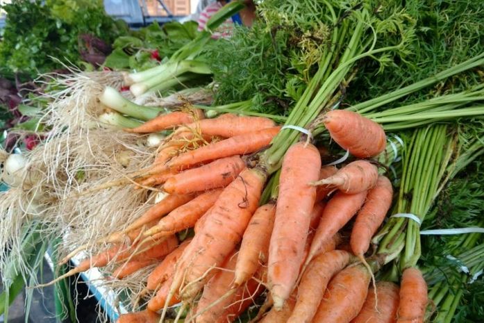 Mercado do Jaraguá ganha pontos para agroecológicos