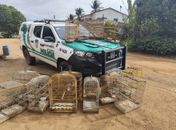 Operação Onda Verde apreende 62 aves e arma de fogo durante fiscalizações em Alagoas