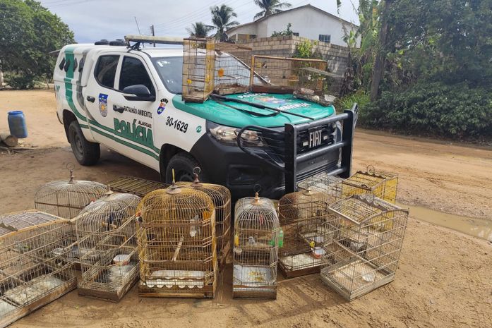 Operação Onda Verde apreende 62 aves e arma de fogo durante fiscalizações em Alagoas
