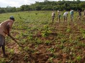 Pagamento da Garantia-Safra 2017/2018 é autorizado para agricultores de 18 municípios alagoanos
