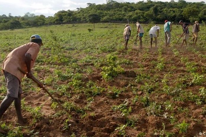 Pagamento da Garantia-Safra 2017/2018 é autorizado para agricultores de 18 municípios alagoanos