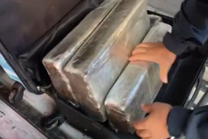 Operação conjunta prende três pessoas e apreende 21,6kg de maconha no interior de Alagoas