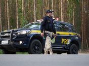 PRF inicia a Operação Tiradentes em Alagoas, nesta quinta-feira(20)