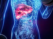 Réveillon: nutricionista dá dicas para não sobrecarregar o fígado
