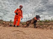 Cão farejador do Corpo de Bombeiros auxilia buscas por homem desaparecido após fortes chuvas em Piranhas
