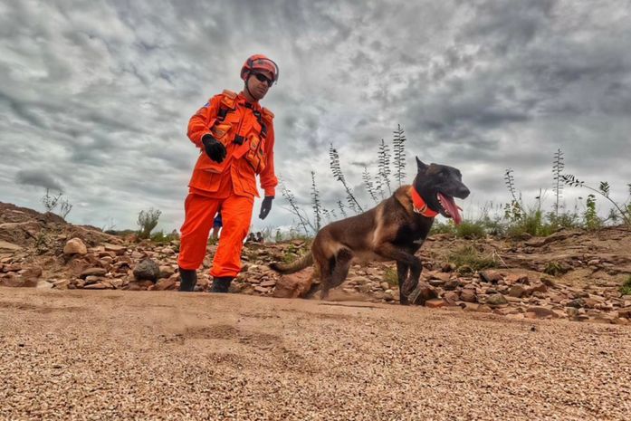 Cão farejador do Corpo de Bombeiros auxilia buscas por homem desaparecido após fortes chuvas em Piranhas