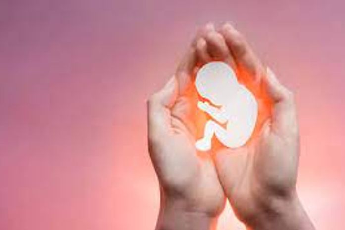 Aborto