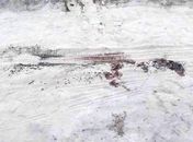 Marcas de sangue no local onde corpo foi achado