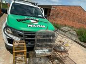 Operação do Batalhão Ambiental apreende armas de caça e resgata aves silvestres em Rio Largo