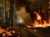 Incêndios na Austrália