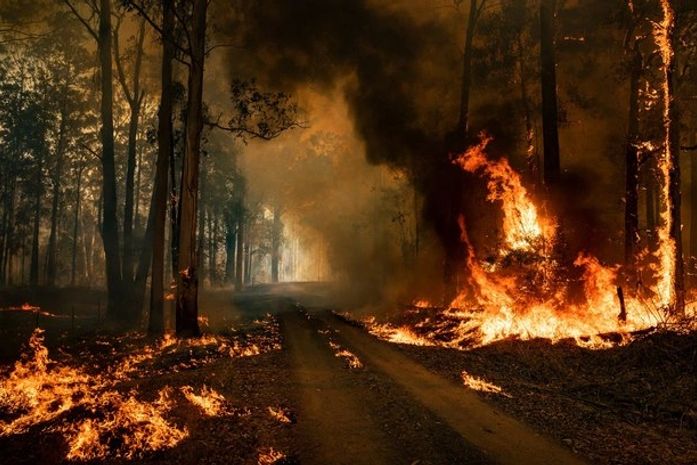 Incêndios na Austrália
