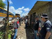 Condições insalubres: Animais são resgatados de criatório irregular durante ação em Maceió 
